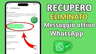 Come recuperare chat e videomessaggi cacellati su WhatsApp (2025) l Recupero WhatsApp passo dpo psso