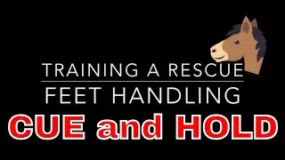 ||Training A Rescue|| Feet Handling Part 2