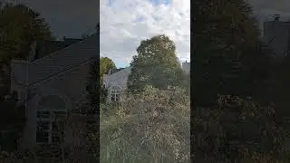 США - звуки субботнего, осеннего утра. Пригород Washington DC.