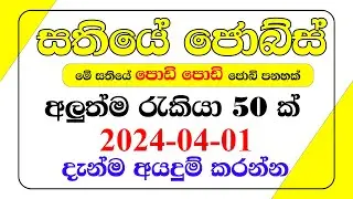 Sathiye Jobs |Today Jobs |Jobs vacancy 2024 |Online jobs | jobs at home | Episode 05