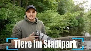 Trailer Videokurs Tierfotografie – Unterwegs mit Chris Kaula