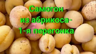 Самогон из абрикоса  - первая перегонка