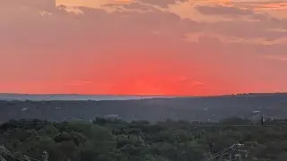 How bootlickers make the world worse