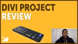 Divi Project Review | Diversify Our Porfolio