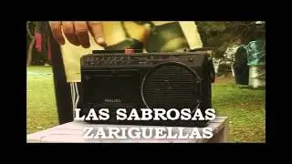 Locución Sabrosas Zarigüellas GRAN REX