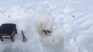 Оторвался по полной!