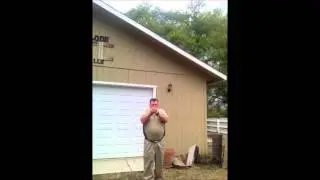 Bocote Hooter