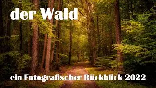 Landschaftsfotografie | der Wald - mein Foto - Rückblick 2022