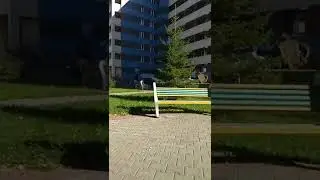 Akademgorodok - a sunny day