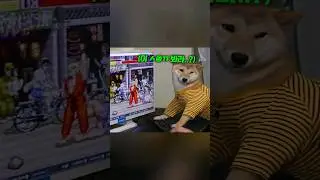 게임에서 지자 키보드를 부숴버리는 개..ㅋㅋ