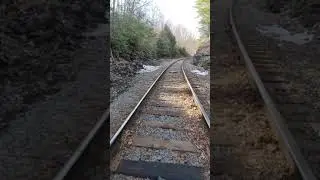 A walk through nature