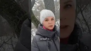 #таро