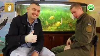 Квн. Кадеты сделали пародию на Ревизор