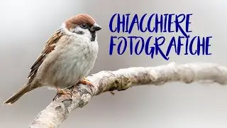 Fotografia Naturalistica con Kevin Gazzera [Chiacchierate Fotografiche]