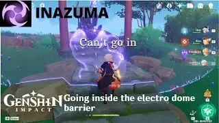 Going inside the electro barrier Inazuma | Genshin Impact Guide