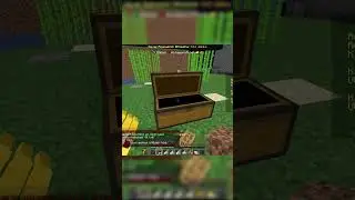 Görünmez Olup İtemlerimizi Çaldı 🤣 Minecraft Towny