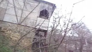 Лучше вишни и черешни. Кизил вечное дерево. Отводки на склоне.