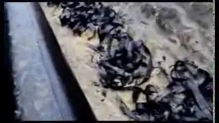Антикоррозийная защита трубопроводов