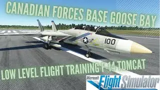 Canadian Forces Goose Bay / low level flight training / F14 Tomcat (MSFS/PC)
