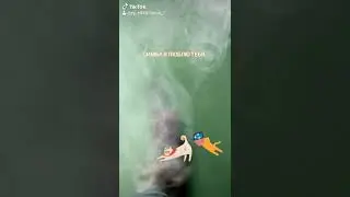 Симба я люблю тебя
