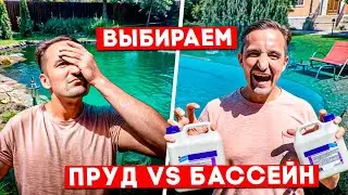 Which is cooler: pond or pool | A fair comparison of ponds and pools