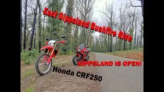 Bushfire Ride - East Gippsland | GIPPSLAND IS OPEN FOR BUSINESS