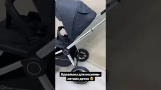 Обзор на коляску Rant Flex Grant
