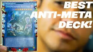 Best Budget Deck in 2024 |2nd Place Dinomorphia Deck Profile |