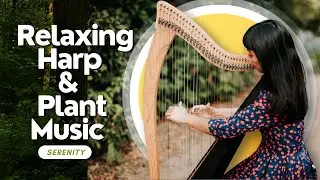 Relaxing Harp and Plant Music