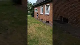 Самокат