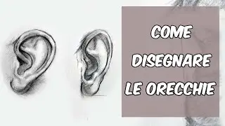 Come disegnare l'orecchio interno ed esterno
