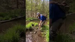 Big Shrive getting the wilds and natives.