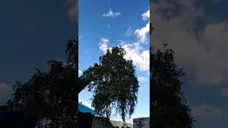 SOS. Сигнал SOS, я слышу от природы