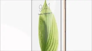 Apple - Apple IPhone 6 And 6 Plus - Seamless