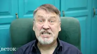Цветок вечности