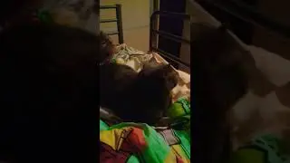 Настя  заболела .🐄🦄🦄🐇