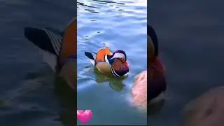 доброе утро