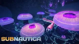 Subnautica 2020 Тайник предтеч #15