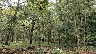 Peace after heavy rain