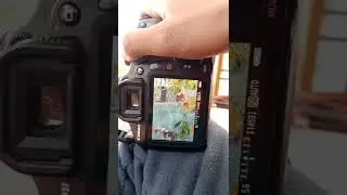 HOW TO TAKE PHOTOS ON CANON 1500D DSLR CAMERA 