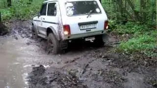 Niva Key in Mud