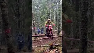 Beta и бревно:) гонка pitcross 11.11.23 #beta300rr #hardtrail #enduro