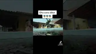 Oha sona dikat😱😱😱