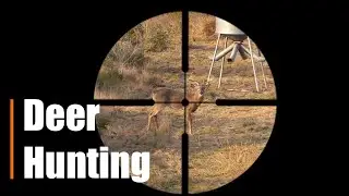 White Tail Deer Hunting | Tips & Tricks | South Texas Style