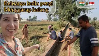Hari ini menggarap tanah diladang mertua india dikampung 