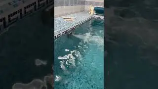 Сделали бассейн ☺️