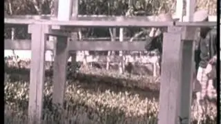 Safety_ In Danger Out of Doors (1978)