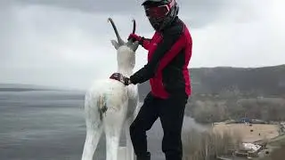 Грязь, много грязи