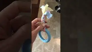 Игрушка для Французкого Бульдога / Покупки Али Экспресс