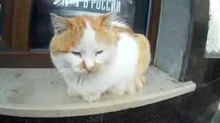 Гурзуф 2019.  Лето в Ноябре...